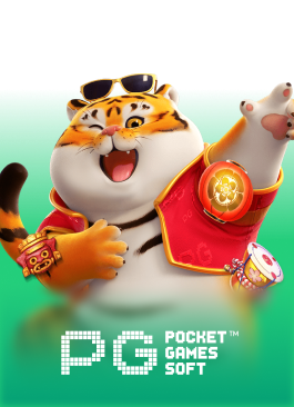 Provider PG Soft Card